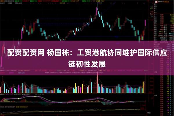 配资配资网 杨国栋：工贸港航协同维护国际供应链韧性发展