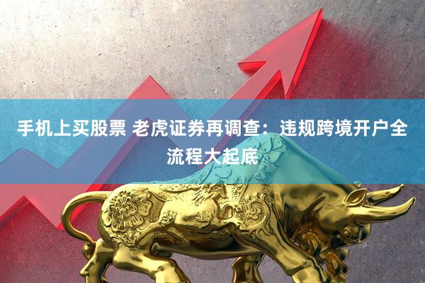 手机上买股票 老虎证券再调查：违规跨境开户全流程大起底