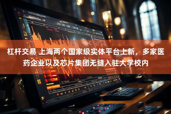 杠杆交易 上海两个国家级实体平台上新，多家医药企业以及芯片集团无缝入驻大学校内